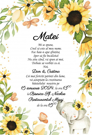 Invitatii digitale BOTEZ - Invitatie electronica PM199