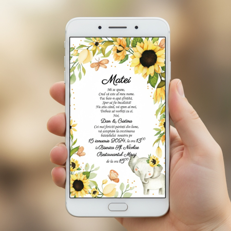 BOTEZ - Invitatie electronica PM199