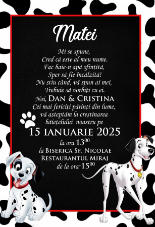 Invitatii digitale BOTEZ - Invitatie electronica PM200