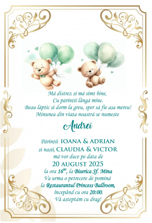 Invitatie electronica PM210 [3]