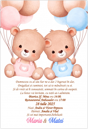Invitatie electronica gemeni PM221 [1]