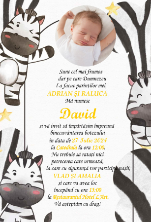 Invitatie electronica PM223 [2]