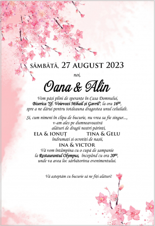Invitatii nunta DIGITALE - Invitatie electronica PM44