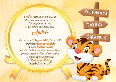 Invitatii digitale BOTEZ - Invitatie electronica PM50