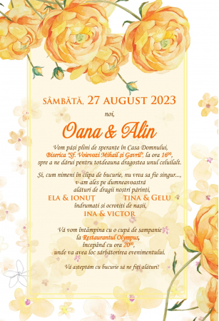Invitatii nunta DIGITALE - Invitatie electronica PM53