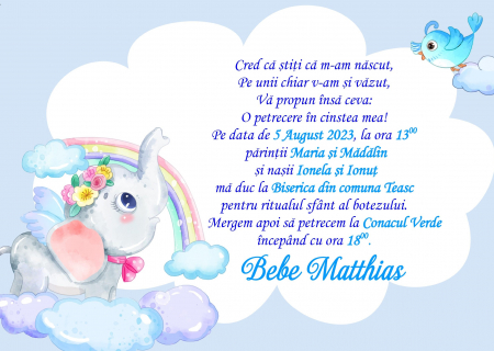 Invitatii digitale BOTEZ - Invitatie electronica PM58