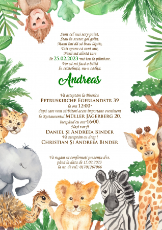 Invitatii digitale BOTEZ - Invitatie online zi de nastere PM60