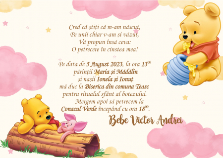 Invitatii digitale BOTEZ - Invitatie electronica PM62