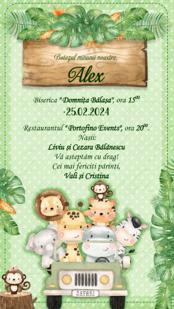Invitatii digitale BOTEZ - Invitatie online petrecere copii PM70