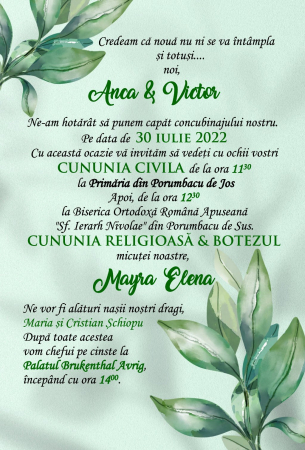 Invitatie nunta - Poveste de Vara [1]