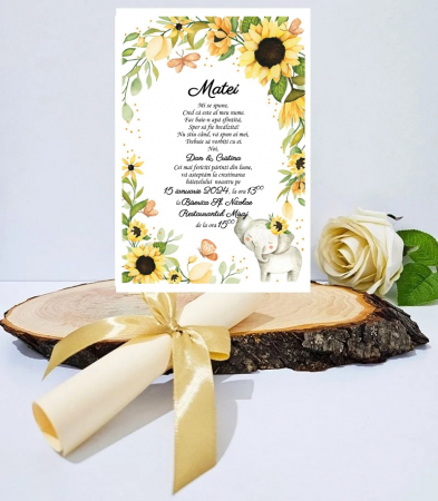 INVITATII BOTEZ - Invitatie papirus PM199