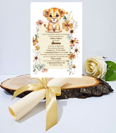 INVITATII BOTEZ - Invitatie papirus PM227