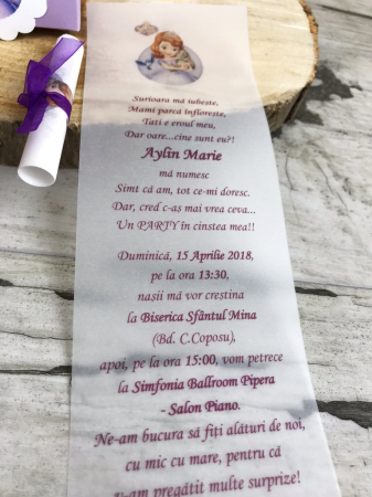 Invitatie vesela cu Printesa Sofia [2]
