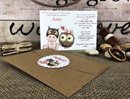 INVITATII BOTEZ - invitatii botez Little OWL