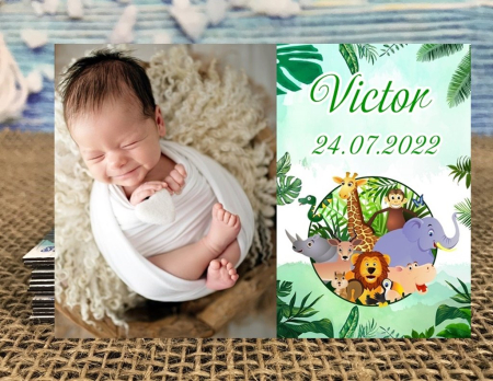 Magneti BOTEZ - Magnet Safari Baby