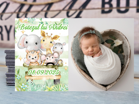 Magneti BOTEZ - Magneti Baby Safari
