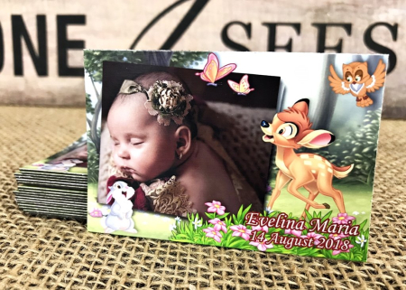 Magneti BOTEZ - magneti foto BAMBI