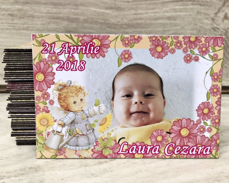 Magneti BOTEZ - Magneti foto INGERAS