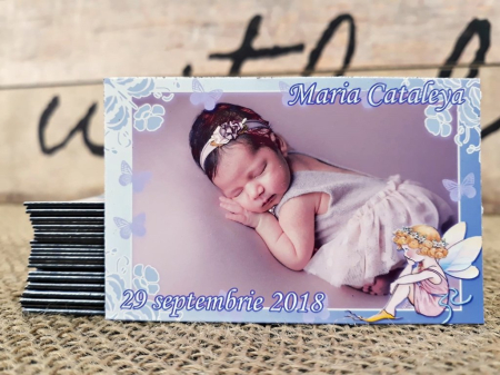 Magneti BOTEZ - Magneti cu INGERAS