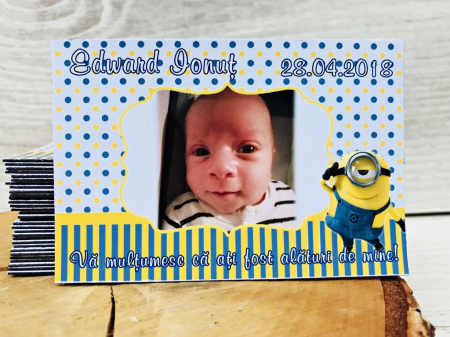 Magneti MINIONS [2]
