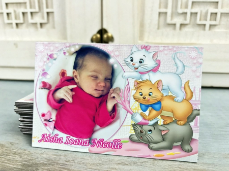 Magneti BOTEZ - Magneti PISICUTE