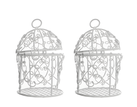 Marturii in forma de colivie [2]