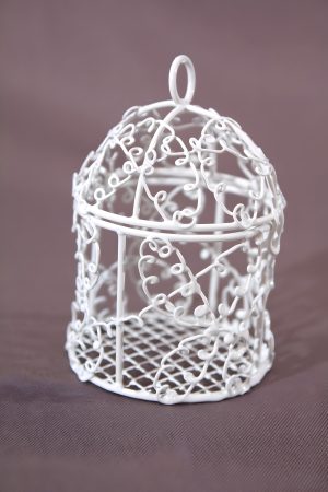 NUNTA - Marturii in forma de colivie