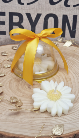 NUNTA - Marturii lumanare margareta