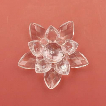 Floare de Lotus [1]