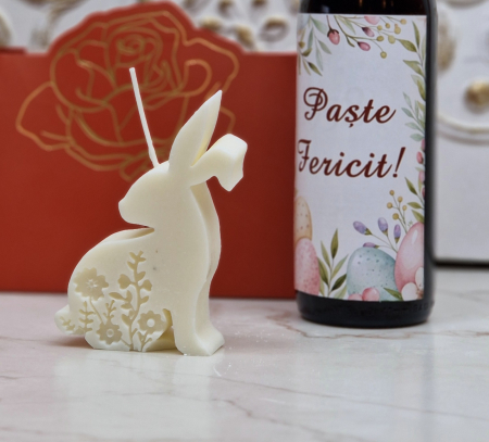 Pachet cadou PASTE Simple [1]