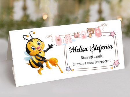 Plic de bani Bebe ALBINUTA
