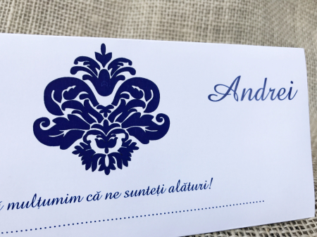 plic de bani Blue Style [1]