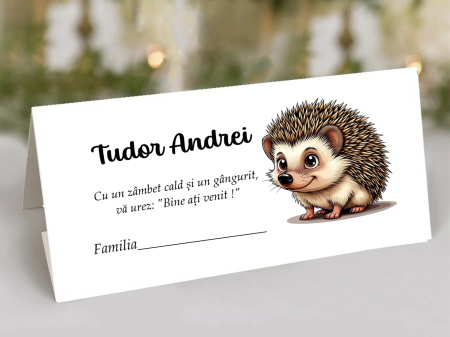 Plicuri de bani BOTEZ - Plic de bani botez ARICI