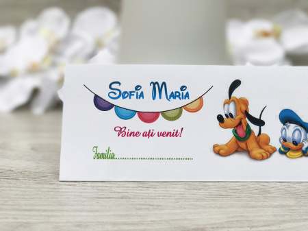 Plic de bani DONALD [1]