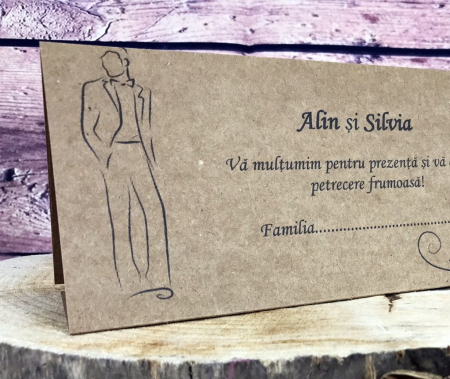 Plic de bani - M10 (model craft) [1]