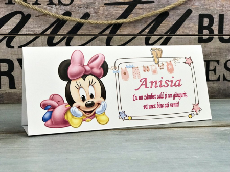 Plic de bani MINNIE BABY