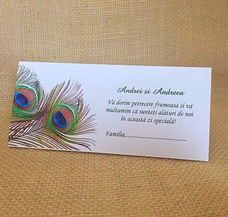 Plic de bani PENE [1]