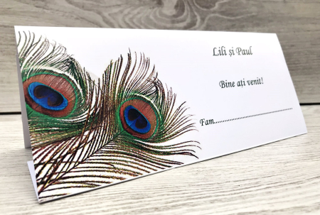 Plicuri de bani NUNTA - Plic de bani PENE