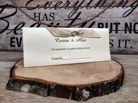 Plicuri de bani NUNTA - Plic de bani PG4