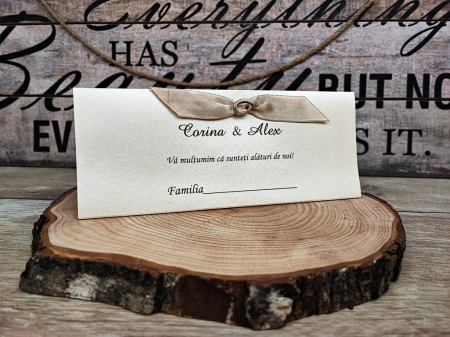 Plic de bani PG4 [2]