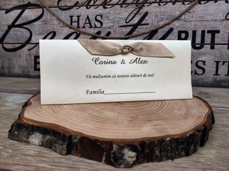 Plic de bani PG4 [3]