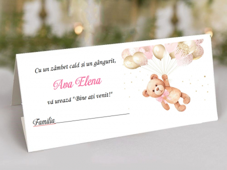 Plic de bani Sweet TEDDY