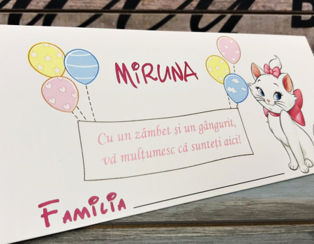 Plic de bani PISICUTA [2]