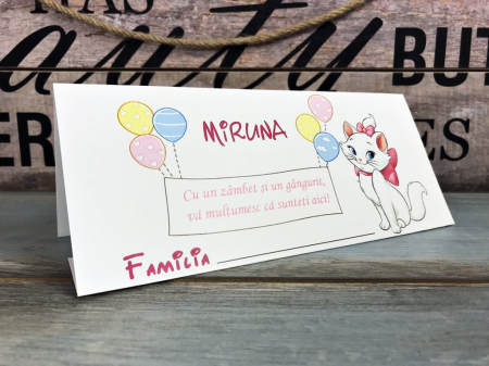 Plic de bani PISICUTA