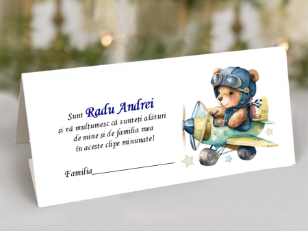 plic de bani PM104 Bebe AVIATOR