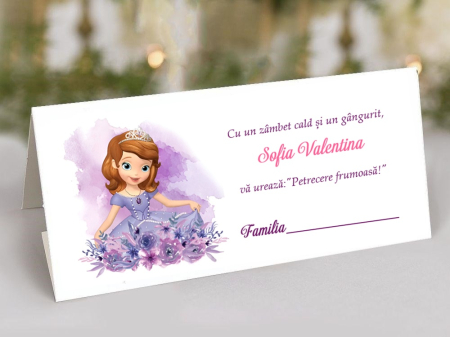 Plic de bani SOFIA THE FIRST