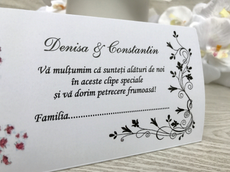 plic de bani Purple Bride [3]