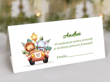 BOTEZ - Plic de bani Safari Car