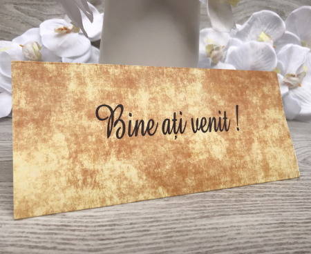 Plic de bani SHABBY CHIC [4]