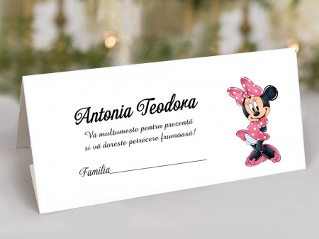 Plic de bani MINNIE PM157